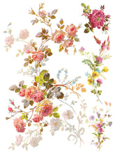 Load image into Gallery viewer, Saint Germain Transfer Set by IOD