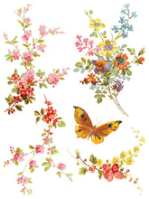 Load image into Gallery viewer, Saint Germain Transfer Set by IOD