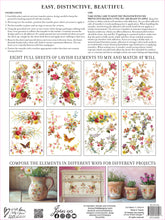 Load image into Gallery viewer, Saint Germain Transfer Set by IOD