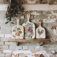 Load image into Gallery viewer, Saint Ouen Decor Transfers 8x12 by IOD