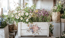 Load image into Gallery viewer, Saint Ouen Decor Transfers 8x12 by IOD