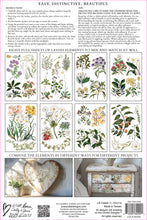 Load image into Gallery viewer, Sarah Featon'S Botanicals Decor Transfers 8x12 by IOD