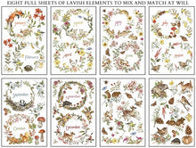 Load image into Gallery viewer, The Bramblewood Diaries Transfer Set 8x12