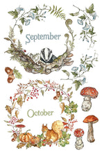 Load image into Gallery viewer, The Bramblewood Diaries Transfer Set 8x12