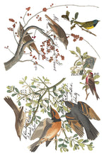 Load image into Gallery viewer, Winters Calling Transfer Set 8x12 *Limited Holiday Release