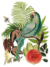 Load image into Gallery viewer, Bungalow Decor Transfers