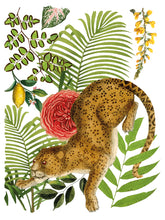 Load image into Gallery viewer, Bungalow Decor Transfers