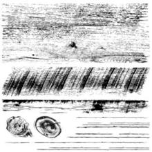 Load image into Gallery viewer, Barnwood Plank Decor Stamp Set