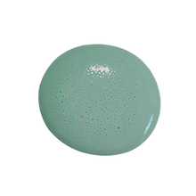 Load image into Gallery viewer, Birdie ~Sweet Pickins Milk Paint