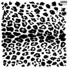 Load image into Gallery viewer, Catwalk Decor Stamp Set