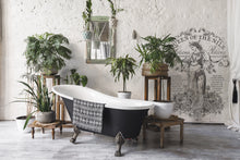 Load image into Gallery viewer, Queen of the Nile Paint Inlay * Limited Release