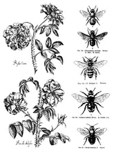 Load image into Gallery viewer, Melange Paint Inlay * Limited release