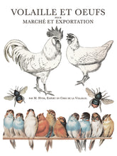 Load image into Gallery viewer, Brocante Decor Transfers