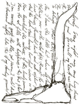 Load image into Gallery viewer, Desporado Decor Transfer Set