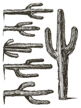 Load image into Gallery viewer, Desporado Decor Transfer Set