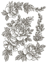 Load image into Gallery viewer, Desporado Decor Transfer Set