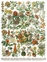 Load image into Gallery viewer, Millot's Pages Decor Transfers Set