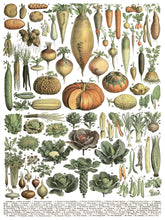 Load image into Gallery viewer, Millot's Pages Decor Transfers Set