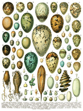 Load image into Gallery viewer, Millot's Pages Decor Transfers Set