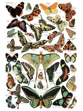 Load image into Gallery viewer, Millot's Pages Decor Transfers Set