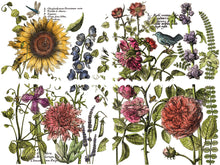 Load image into Gallery viewer, Botanist's Journal Decor Transfers