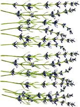 Load image into Gallery viewer, Painterly Florals Decor Transfers