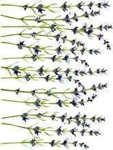 Load image into Gallery viewer, Painterly Florals Decor Transfers