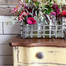 Load image into Gallery viewer, Love Bug ~Sweet Pickins Milk Paint