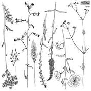 Load image into Gallery viewer, Sprigs Decor Stamp