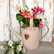 Load image into Gallery viewer, Tickled Pink ~Sweet Pickins Milk Paint