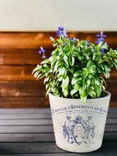 Load image into Gallery viewer, Traditional Pots Decor Transfer