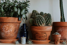Load image into Gallery viewer, Traditional Pots Decor Transfer