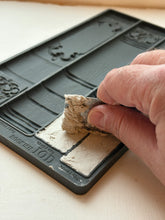 Load image into Gallery viewer, Bookish Mould by IOD
