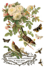 Load image into Gallery viewer, By Any Other Name Decor Transfers 8x12 by IOD
