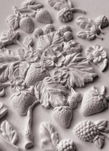 Load image into Gallery viewer, Wild Berries Mould by IOD
