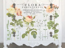 Load image into Gallery viewer, Flora Parisienesis Decor Transfers
