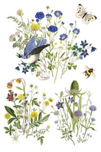 Load image into Gallery viewer, Flora Greca Decor Transfers 8x12 by IOD
