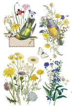 Load image into Gallery viewer, Flora Greca Decor Transfers 8x12 by IOD
