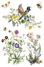 Load image into Gallery viewer, Flora Greca Decor Transfers 8x12 by IOD
