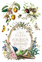 Load image into Gallery viewer, Flora Greca Decor Transfers 8x12 by IOD
