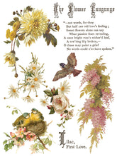 Load image into Gallery viewer, Flowers by the Poets Rub on Transfer Set by IOD
