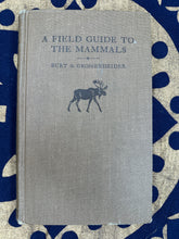 Load image into Gallery viewer, Vintage Book "Field Guide to the Mammals" 1956 - September Live Sale 2026
