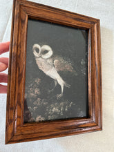 Load image into Gallery viewer, Framed Art Print - Nighttime Owl
