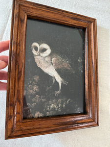 Framed Art Print - Nighttime Owl