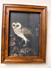 Load image into Gallery viewer, Framed Art Print - Nighttime Owl
