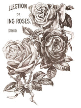 Load image into Gallery viewer, May&#39;s Roses Decor Transfer Set
