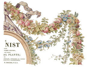 The Botanist Decor Transfer Set