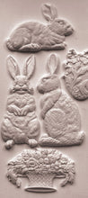 Load image into Gallery viewer, Les Lapins Mould by IOD
