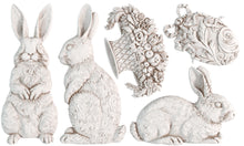 Load image into Gallery viewer, Les Lapins Mould by IOD
