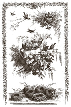 Load image into Gallery viewer, Little Lark Paint 8x12 Inlay by IOD *Limited Release
